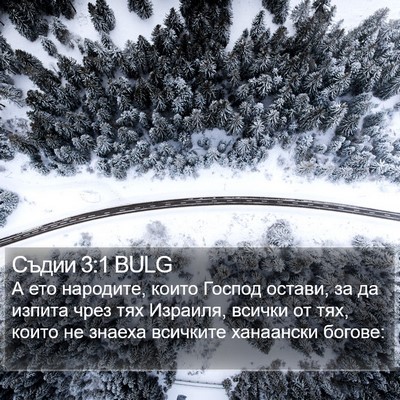Съдии 3:1 BULG Bible Verse Image