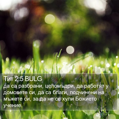 Тит 2:5 BULG Bible Verse Image