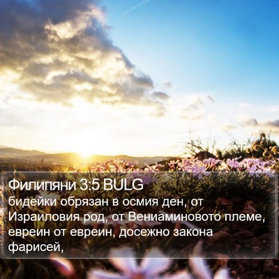 Филипяни 3:5 BULG Bible Verse Image