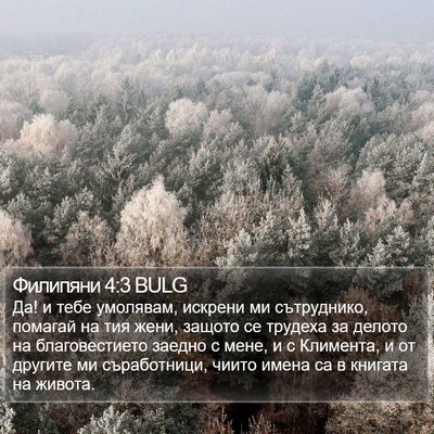 Филипяни 4:3 BULG Bible Verse Image
