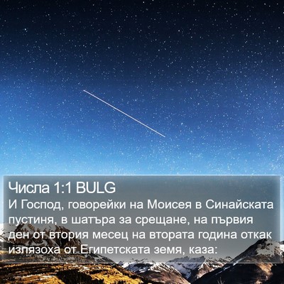 Числа 1:1 BULG Bible Verse Image