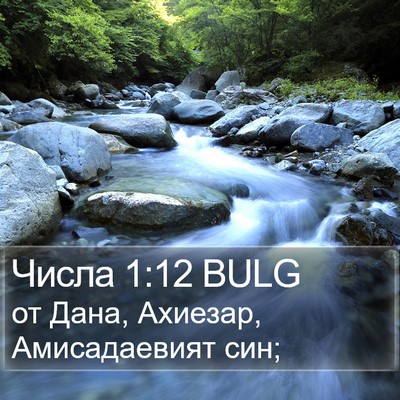 Числа 1:12 BULG Bible Verse Image