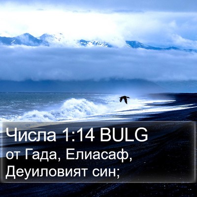 Числа 1:14 BULG Bible Verse Image