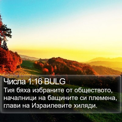 Числа 1:16 BULG Bible Verse Image