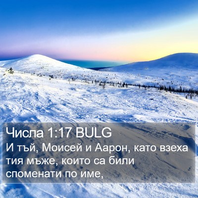 Числа 1:17 BULG Bible Verse Image