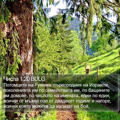 Числа 1:20 BULG Bible Verse Image