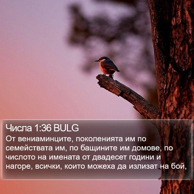 Числа 1:36 BULG Bible Verse Image