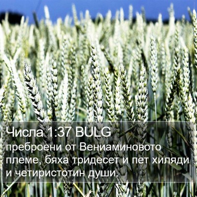 Числа 1:37 BULG Bible Verse Image