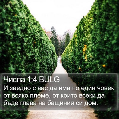 Числа 1:4 BULG Bible Verse Image