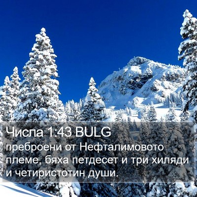 Числа 1:43 BULG Bible Verse Image