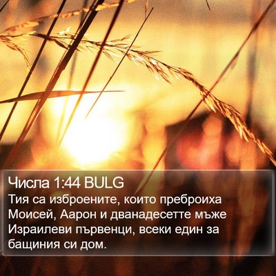 Числа 1:44 BULG Bible Verse Image