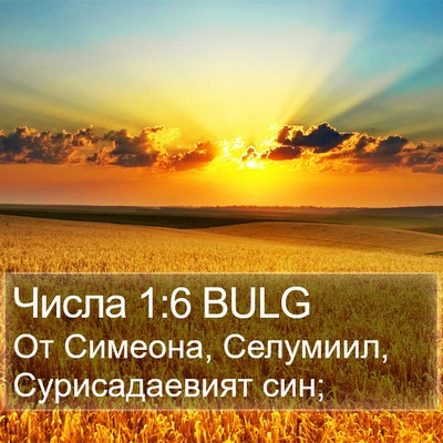 Числа 1:6 BULG Bible Verse Image