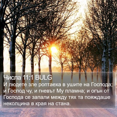 Числа 11:1 BULG Bible Verse Image