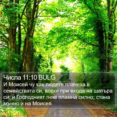 Числа 11:10 BULG Bible Verse Image