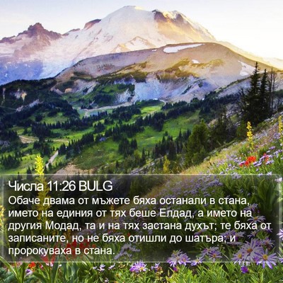 Числа 11:26 BULG Bible Verse Image