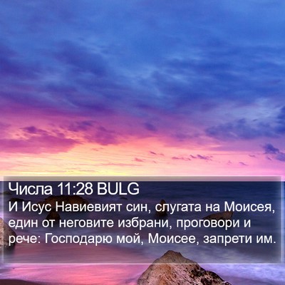 Числа 11:28 BULG Bible Verse Image