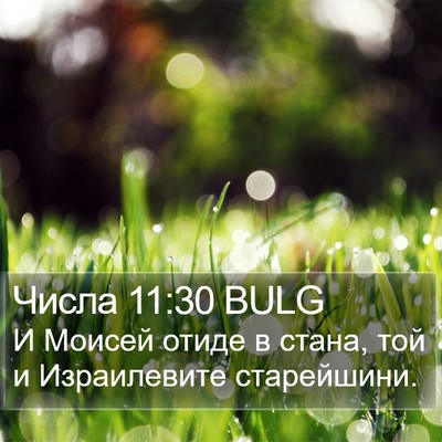 Числа 11:30 BULG Bible Verse Image