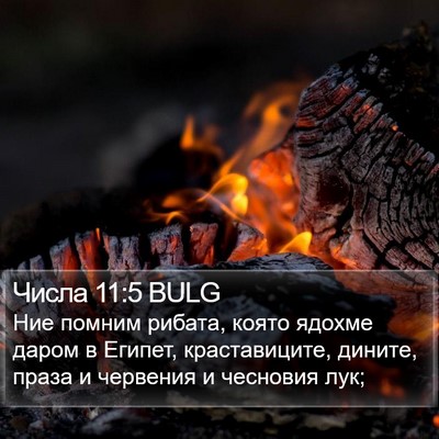 Числа 11:5 BULG Bible Verse Image