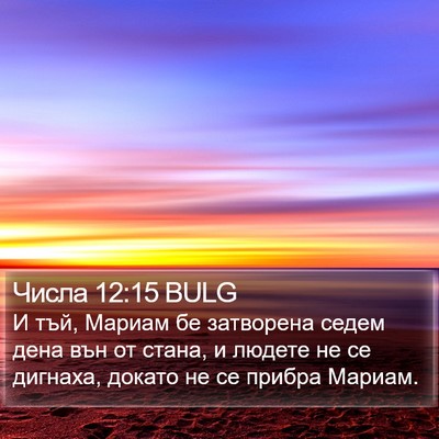 Числа 12:15 BULG Bible Verse Image