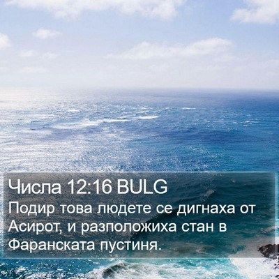 Числа 12:16 BULG Bible Verse Image