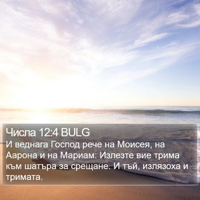 Числа 12:4 BULG Bible Verse Image