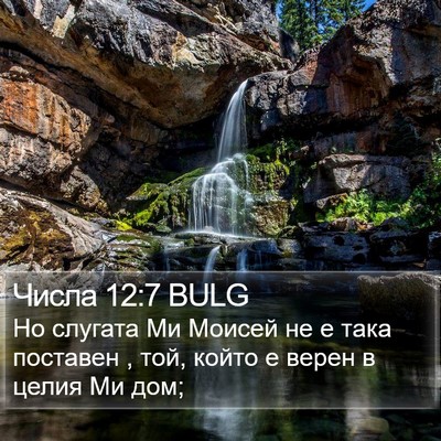 Числа 12:7 BULG Bible Verse Image