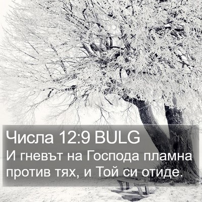 Числа 12:9 BULG Bible Verse Image