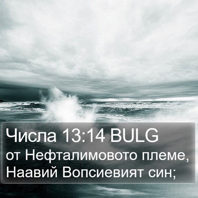 Числа 13:14 BULG Bible Verse Image