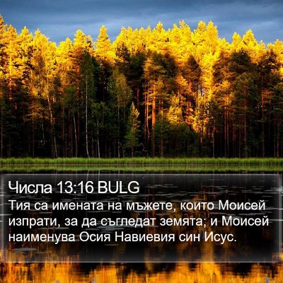 Числа 13:16 BULG Bible Verse Image