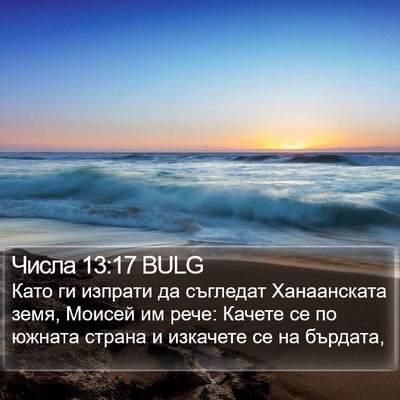 Числа 13:17 BULG Bible Verse Image