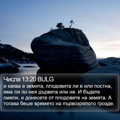 Числа 13:20 BULG Bible Verse Image