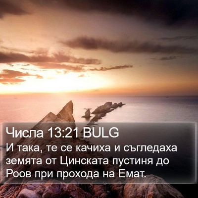 Числа 13:21 BULG Bible Verse Image