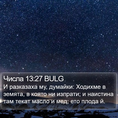 Числа 13:27 BULG Bible Verse Image