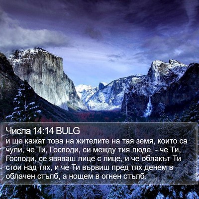 Числа 14:14 BULG Bible Verse Image