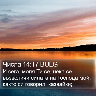 Числа 14:17 BULG Bible Verse Image