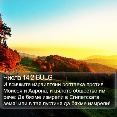 Числа 14:2 BULG Bible Verse Image