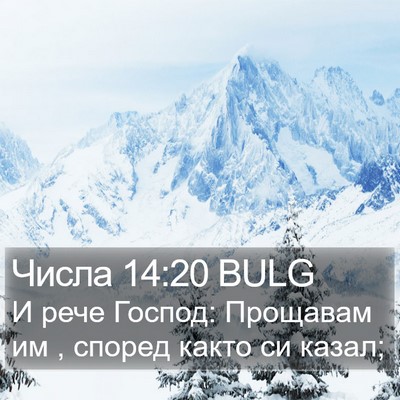 Числа 14:20 BULG Bible Verse Image