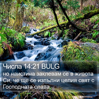 Числа 14:21 BULG Bible Verse Image