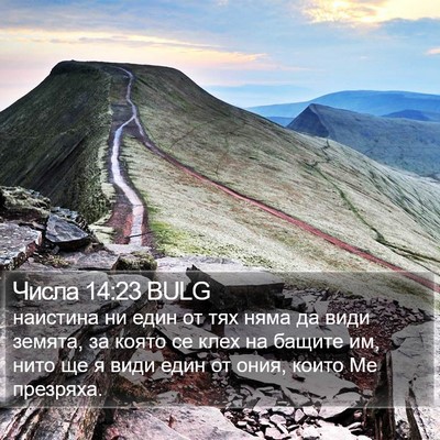 Числа 14:23 BULG Bible Verse Image