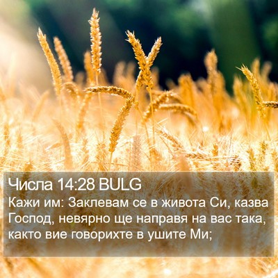 Числа 14:28 BULG Bible Verse Image