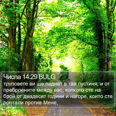 Числа 14:29 BULG Bible Verse Image