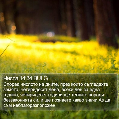 Числа 14:34 BULG Bible Verse Image
