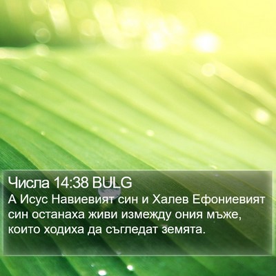 Числа 14:38 BULG Bible Verse Image