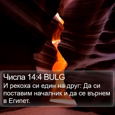 Числа 14:4 BULG Bible Verse Image