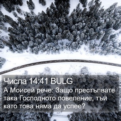 Числа 14:41 BULG Bible Verse Image