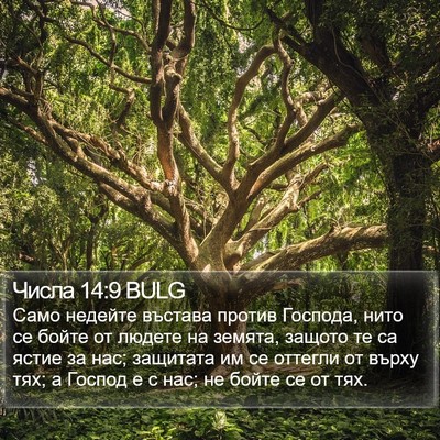 Числа 14:9 BULG Bible Verse Image