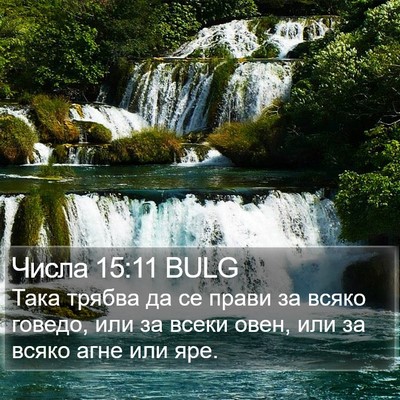 Числа 15:11 BULG Bible Verse Image