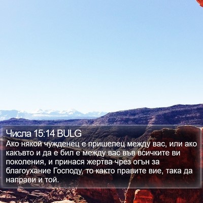 Числа 15:14 BULG Bible Verse Image