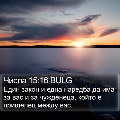 Числа 15:16 BULG Bible Verse Image