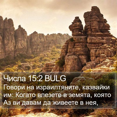 Числа 15:2 BULG Bible Verse Image